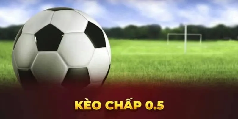 Kèo Chấp Nửa Trái: Cách Tối Ưu Nhất Giúp Tăng Thu Nhập